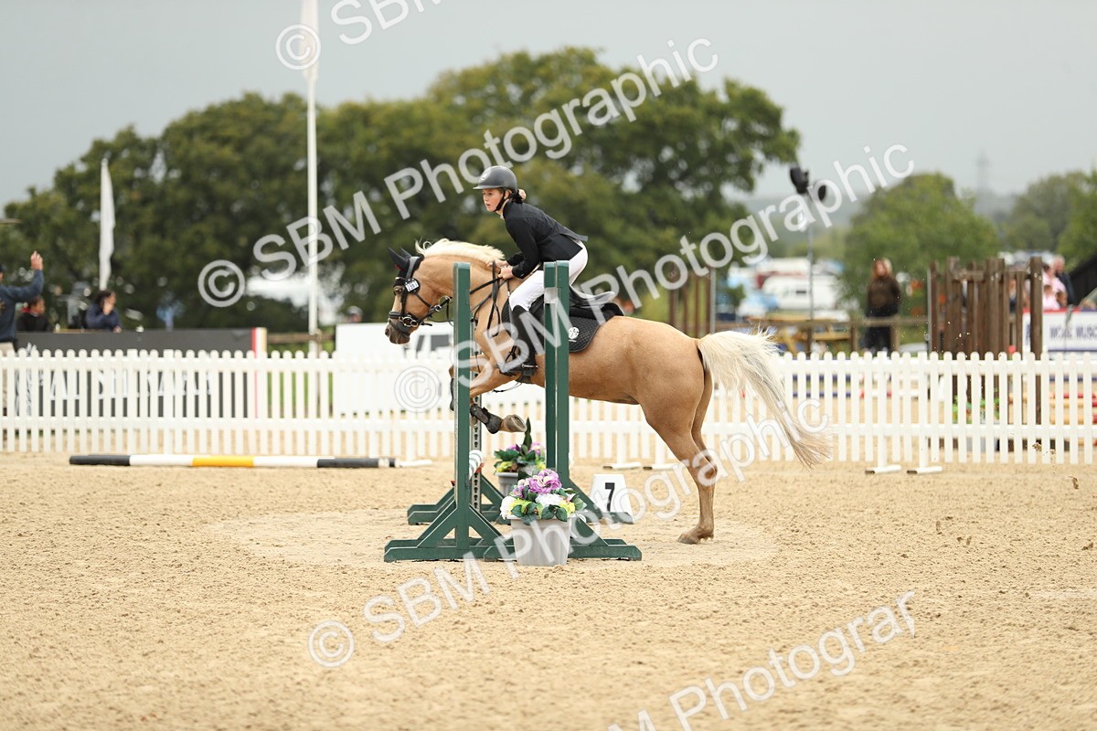 SBM_34240 - J60 Clear Round 50cm