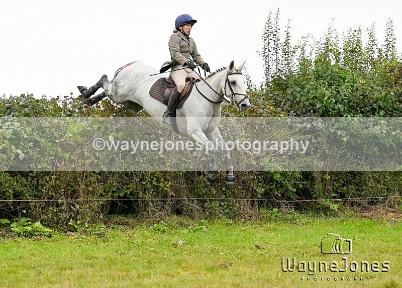 WJ7_4142 - Edited examples