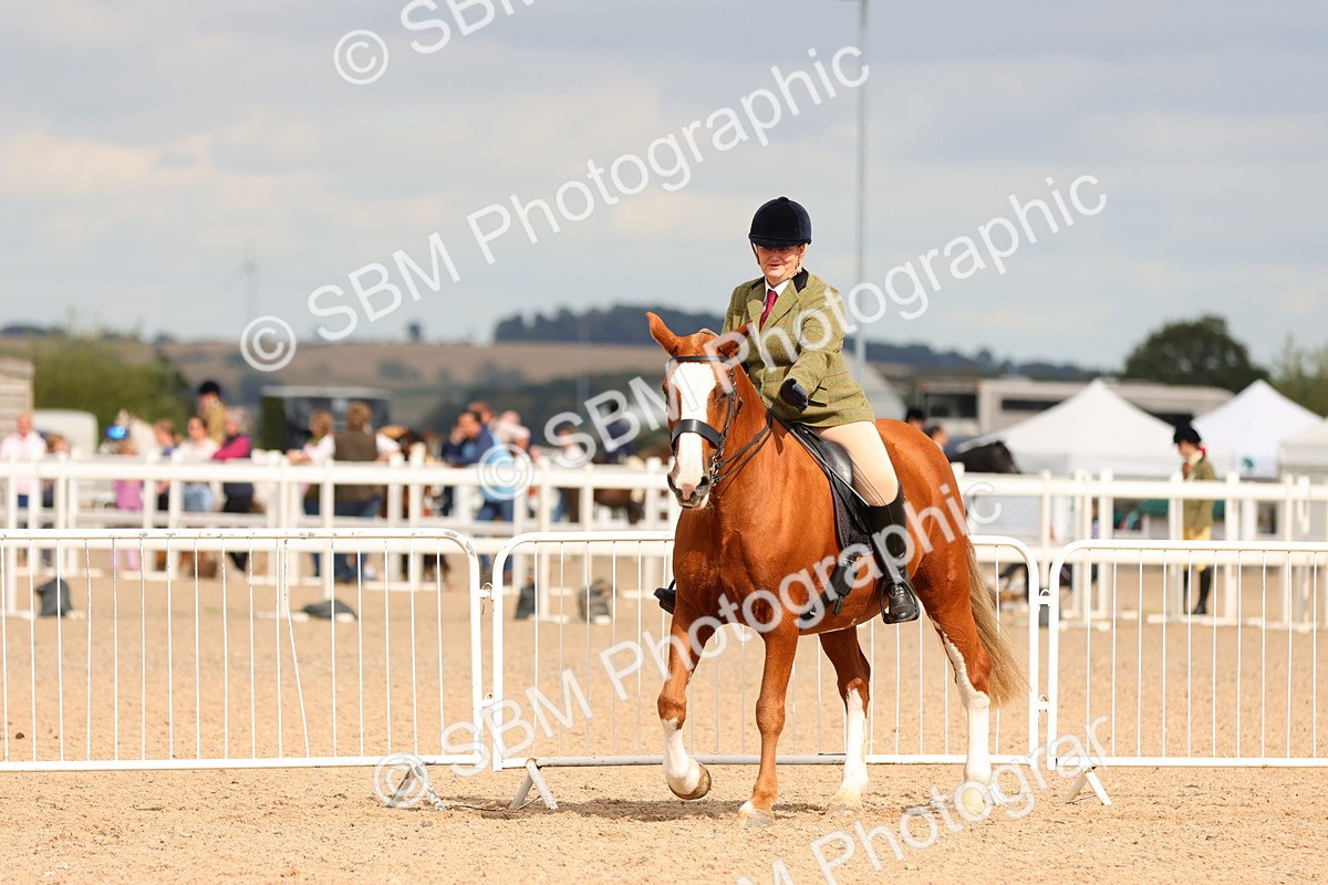SBM_15554 - Class 214 - Ridden Show Cob