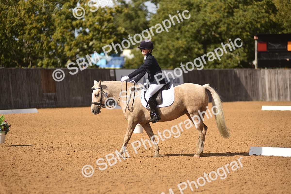 SBM_48769 - D22 - Junior Championship Intro 3
