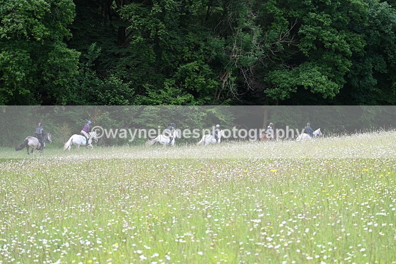 WJ7_8653 - Group 2 10:15am