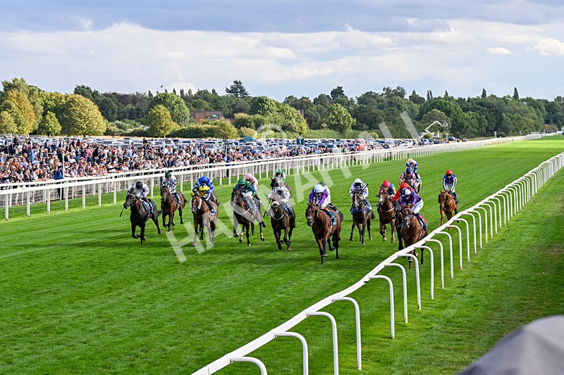 190826-Race 7-Henley On Thames-0773 - Race 7 17.20pm Sky Bet Nursery Handicap