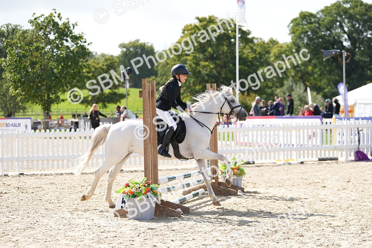 SBM_18228 - J58 - Clear Round 50cm