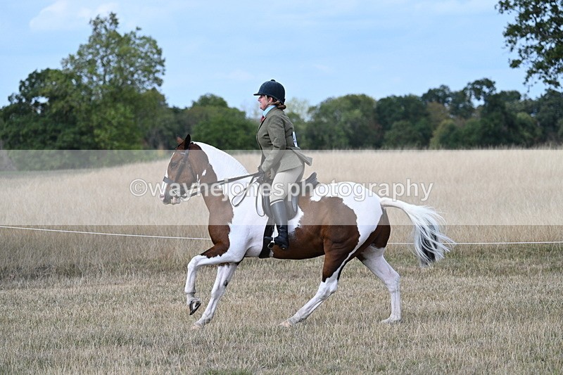 WJ7_7298 - Class 14 Ridden Coloured