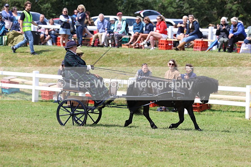 3E7A2675 - Class 12: Open Driving