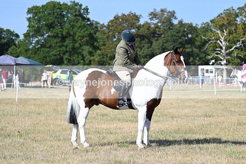 WJ7_2956 - Class 8 Ridden Tack & Turnout