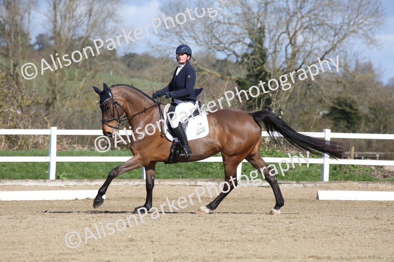 20260314-4108 - CT4 - Novice 1