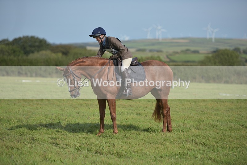 RAY_7894 - Class 2B: Trekenning Open: Dressage