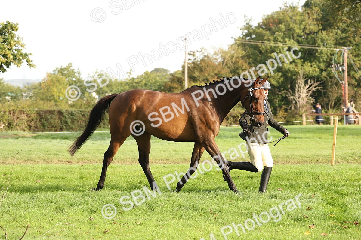 SBM_54675 - S53 - Hunter In Hand