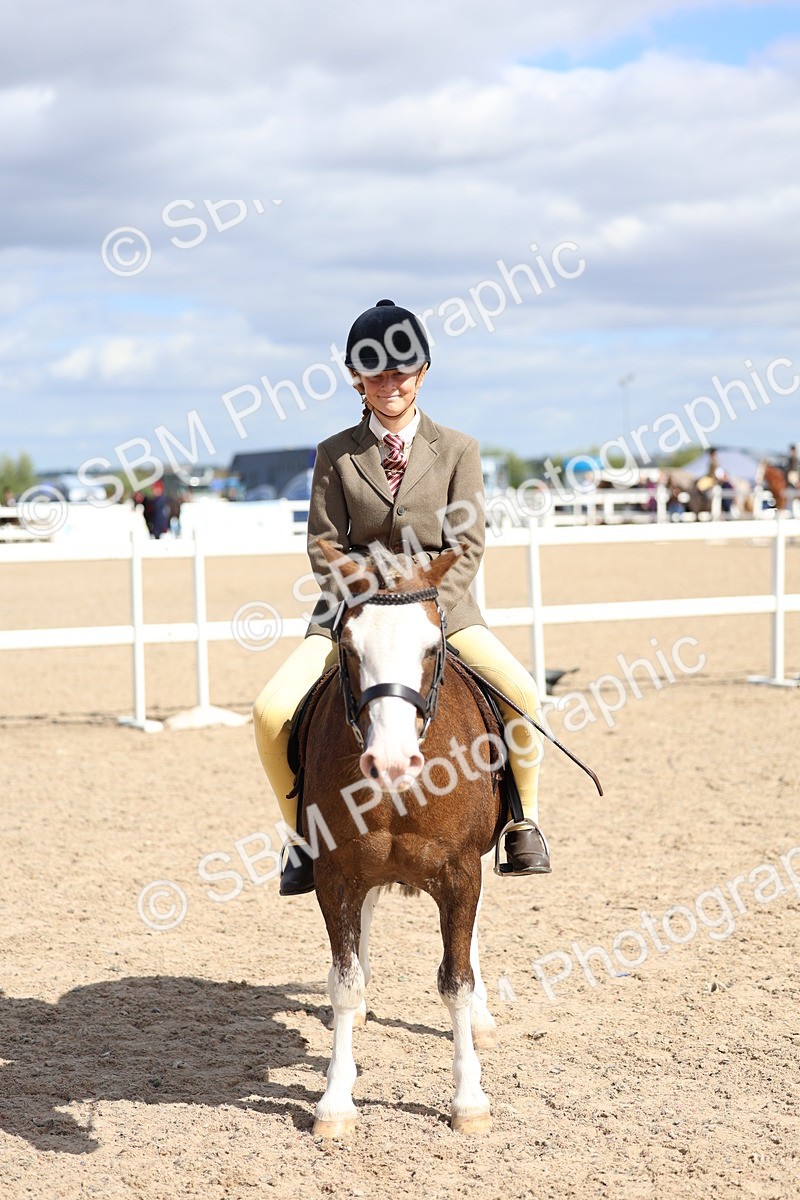 SBM_13310 - Class 311 - Ridden Show Pony Show Hunter Pony