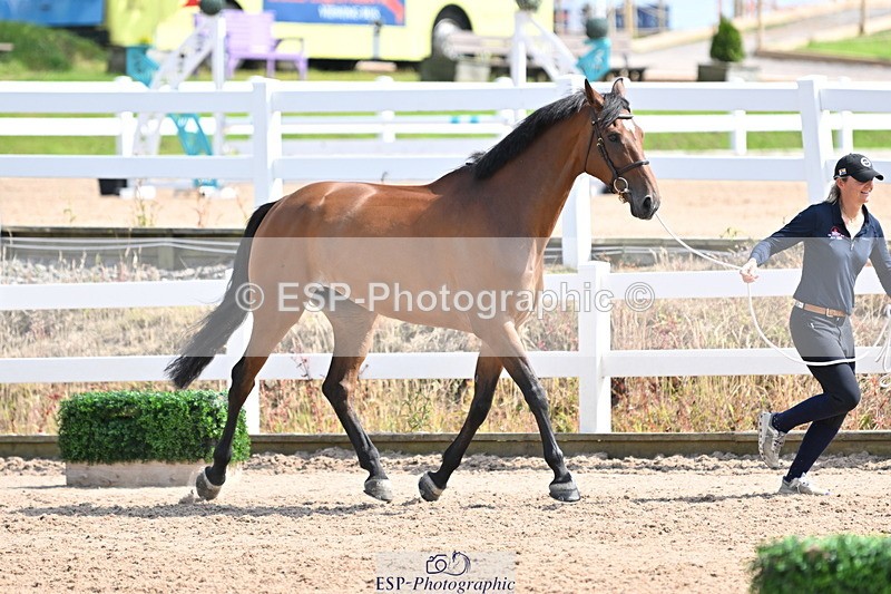 240717A-154501-03029 - Trot Up 3pm to 4pm