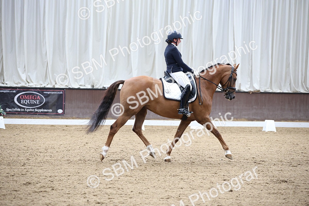 SBM_002886 - Class 5 - Novice 6 Gold - 10.24-11.30