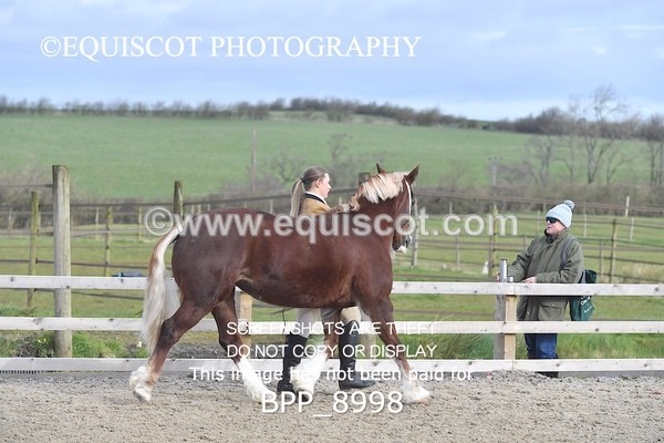 BPP_8998 - RING 2 - M&M