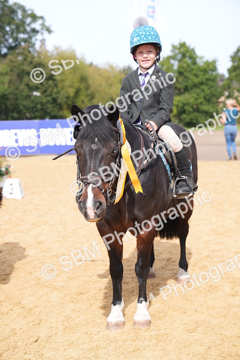 SBM_65865 - J2 - Mini Tour Junior Pony 30cm Championship
