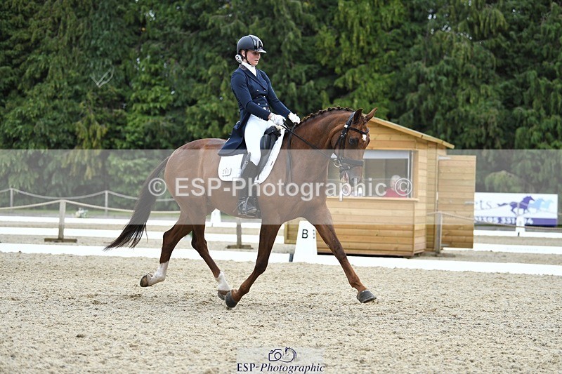 230812-140721-04605 - Cls 7 FEI PSG Bronze