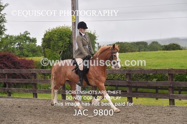 JAC_9800 - CLASS 2 Novice Working Hunter (0.60m - 0.70m)