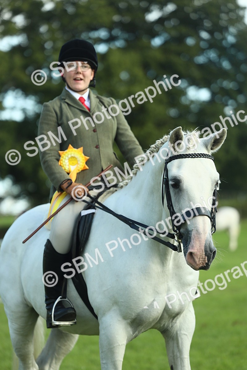 SBM_49944 - S32 - Novice & Newcomers Working Hunter
