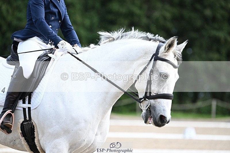 231110-130531-00843 - Cls 4 Novice 39Q