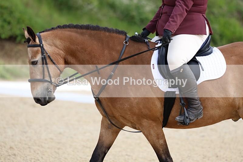 3E7A1488 - Class 2: Intro 2 2024 Section B