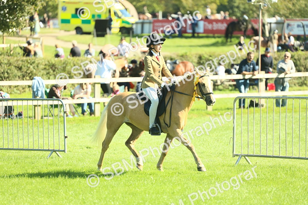 SBM_39112 - S29 - Novice & Newcomers Working Hunter Pony