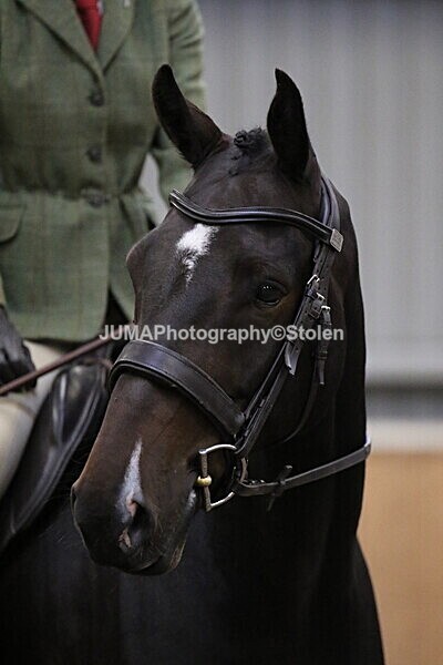 SIAL3257 - Sunday 14th Ridden