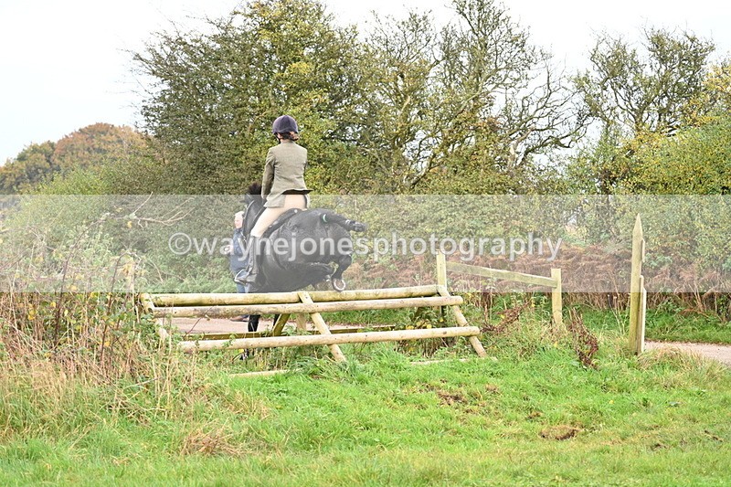 WJ7_0377 - Camera 1 & Last fence