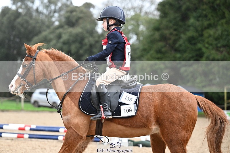 260222A-092811-00118 - 40cm Lead Rein and Assisted