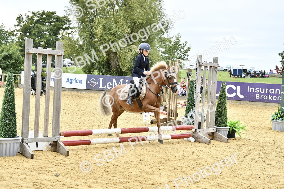 SBM_65464 - J2a mini Tour Junior Pony 30cm Championship