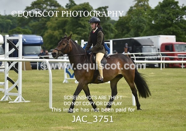 JAC_3751 - 75CM WORKING HUNTER