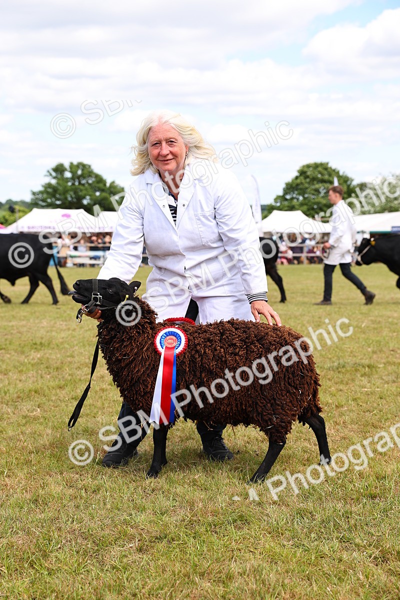 SBM_16967 - Grand Parade