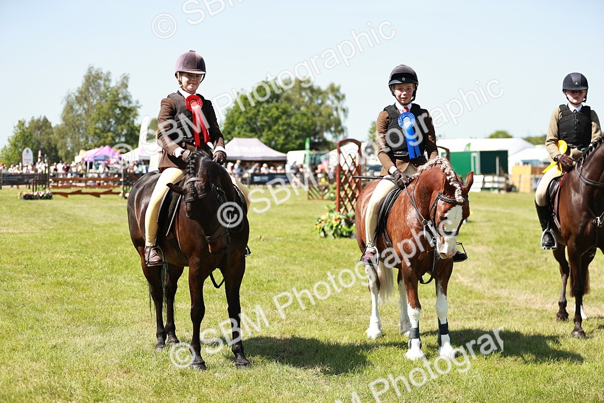 SBM_17662 - Class 112-113 - BSPS LIHS Working Sports Pony