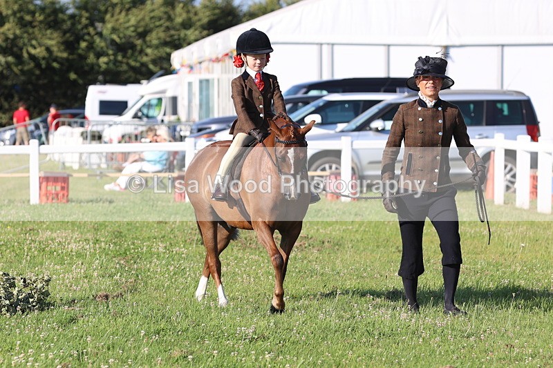 JPP_0656 - Class 16: Cornish Combination Leading Rein