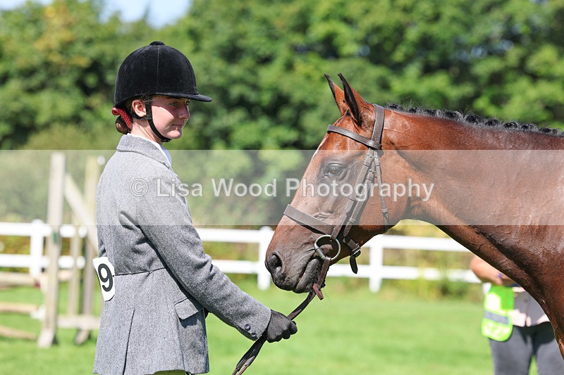 3E7A8494 - Class 4: Novice working Hunter