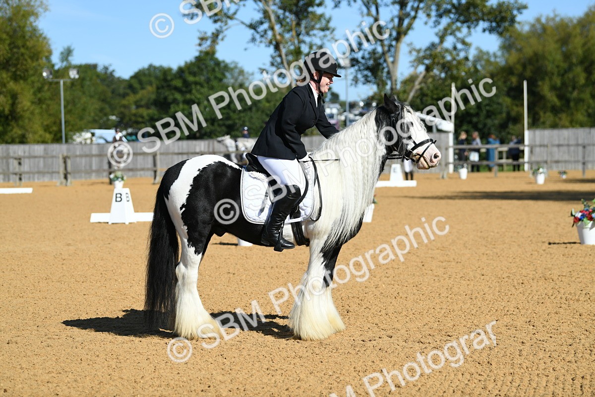 SBM_18089 - D4 - Small Tour Championship - Intro B
