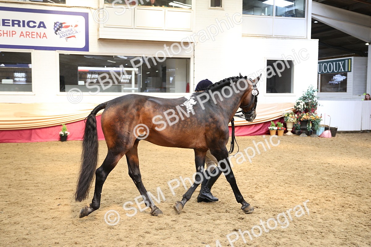 SBM_23423 - Class 904 - Supreme Final Ridden Diamond