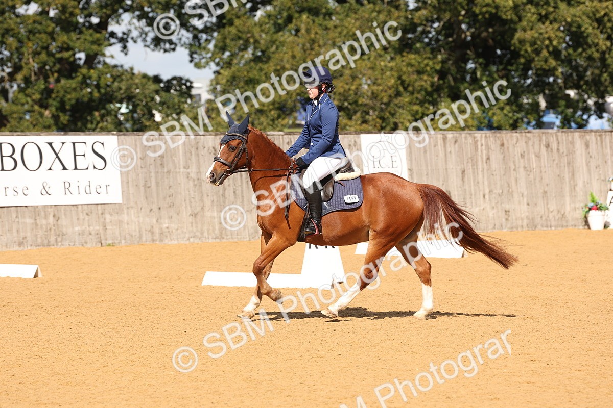 SBM_19473 - D10 - Small Tour Championship Prelim 2