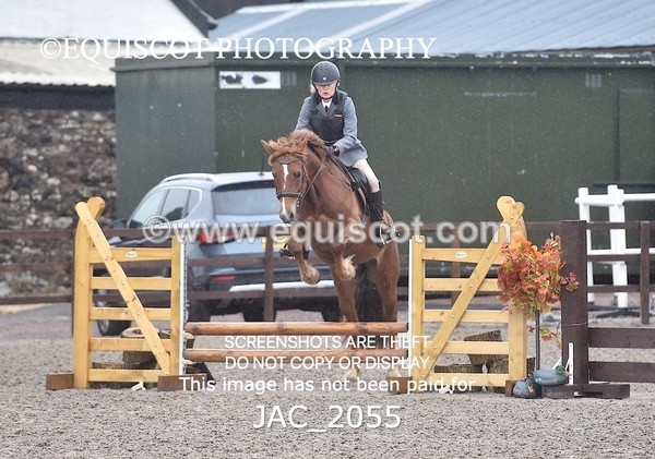 JAC_2055 - CLASS 1 Nursery Novice Working Hunter