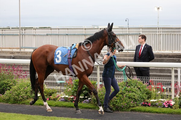 yr23072021r6-4 - Race 6 8.30pm Sky Bet Go-Racing-In-Yorkshire Summer Festival Stakes