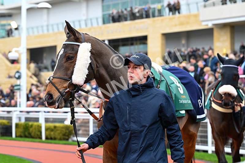151125-Race 2-Sound And Fury-2312 - Race 2