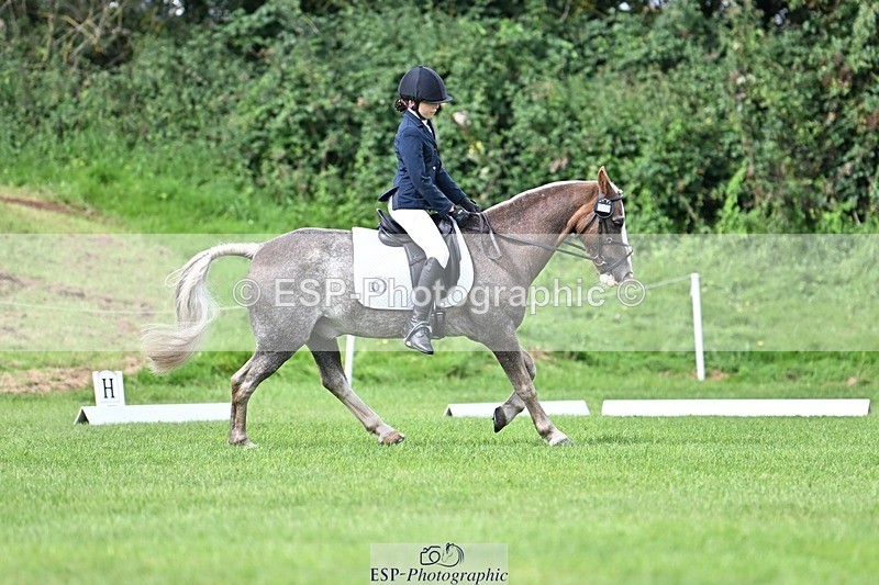 230826-111052-16887 - Sections A & B 10 to End