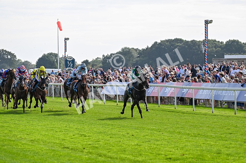 060926-Race 4-Stoneacre Donny-0249 - Race 4 3.15pm Saltmoore Collection Handicap