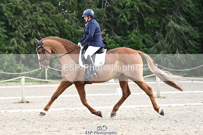 231110-142353-01922 - Cls 7 Medium 61