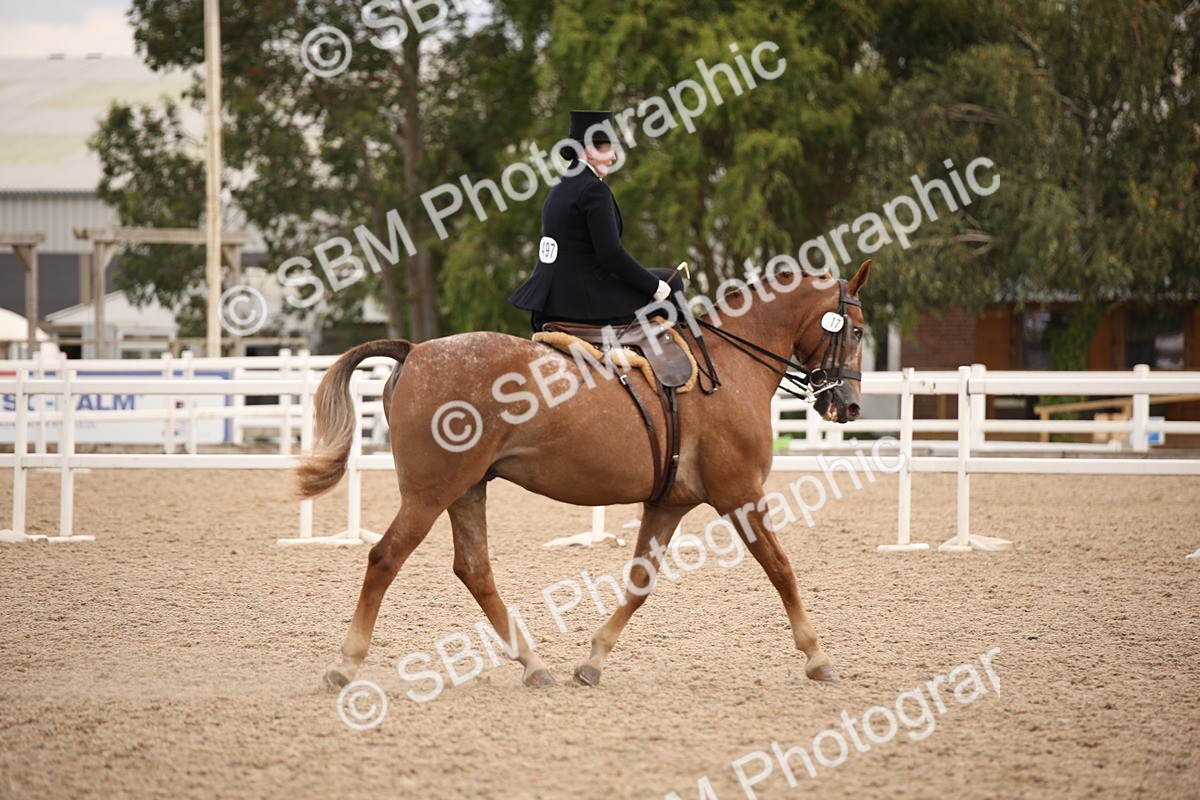 SBM_05376 - Class 22 SSA Equitation
