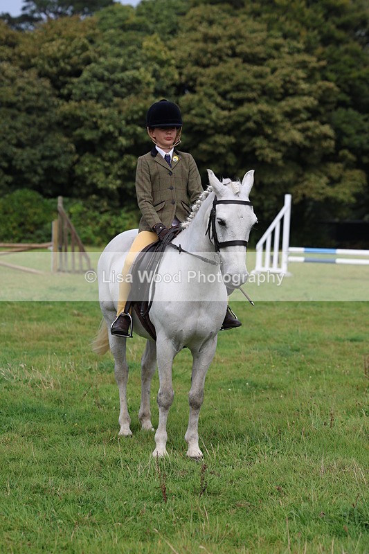 3E7A5893 - Class 26 and 27: 70cm Working Hunter