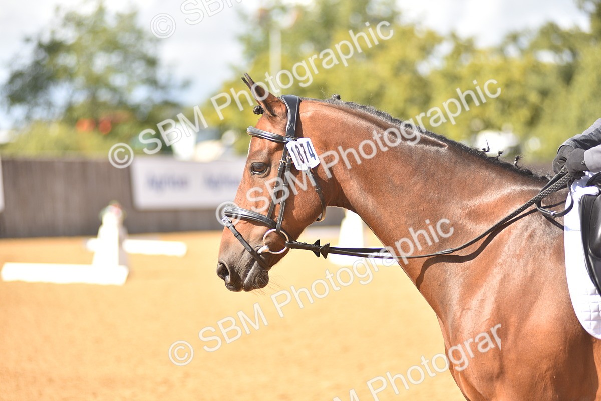 SBM_24207 - D4 - Small Tour Championship Intro 4