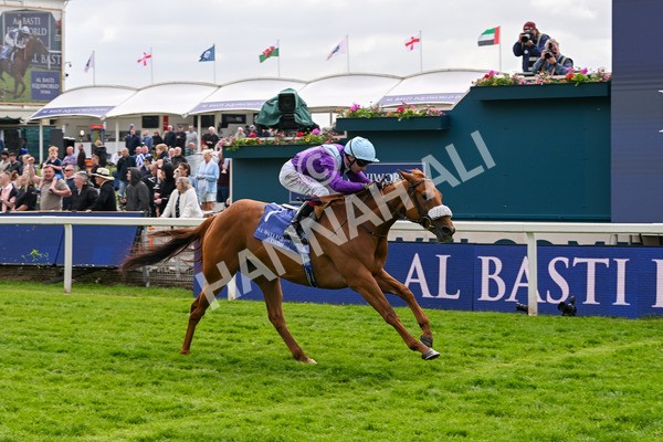 150525-See The Fire-4475 - Race 3 3.13pm Al Basti Equiworld Dubai Middleton Fillies' Stakes