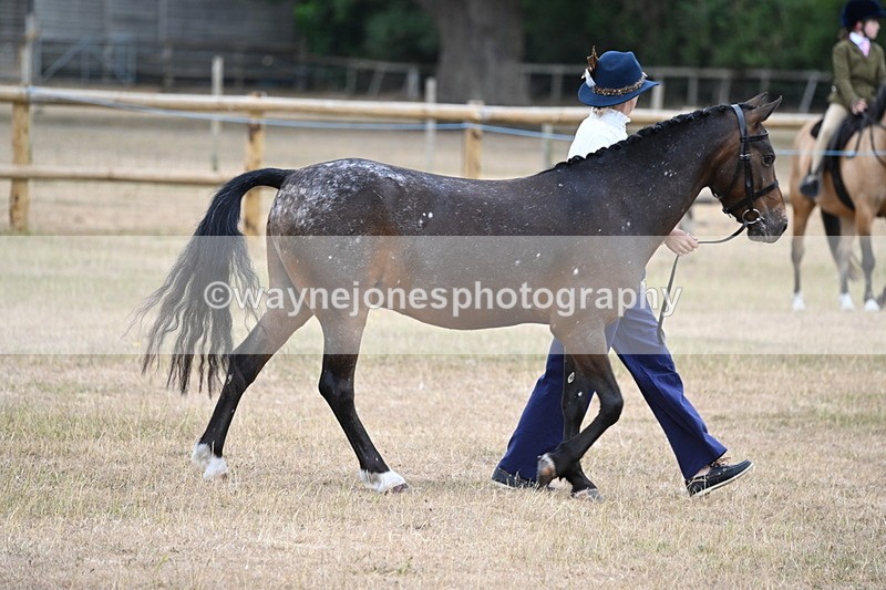 WJ6_7798 - Class 10 Coloured in Hand