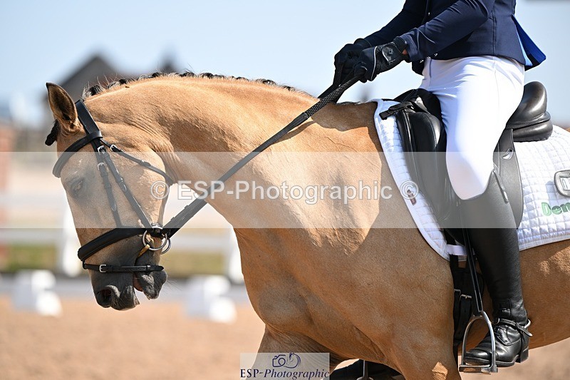 250816-120211-04407 - 060-Felicity.HendySheepcote.Champion.Star