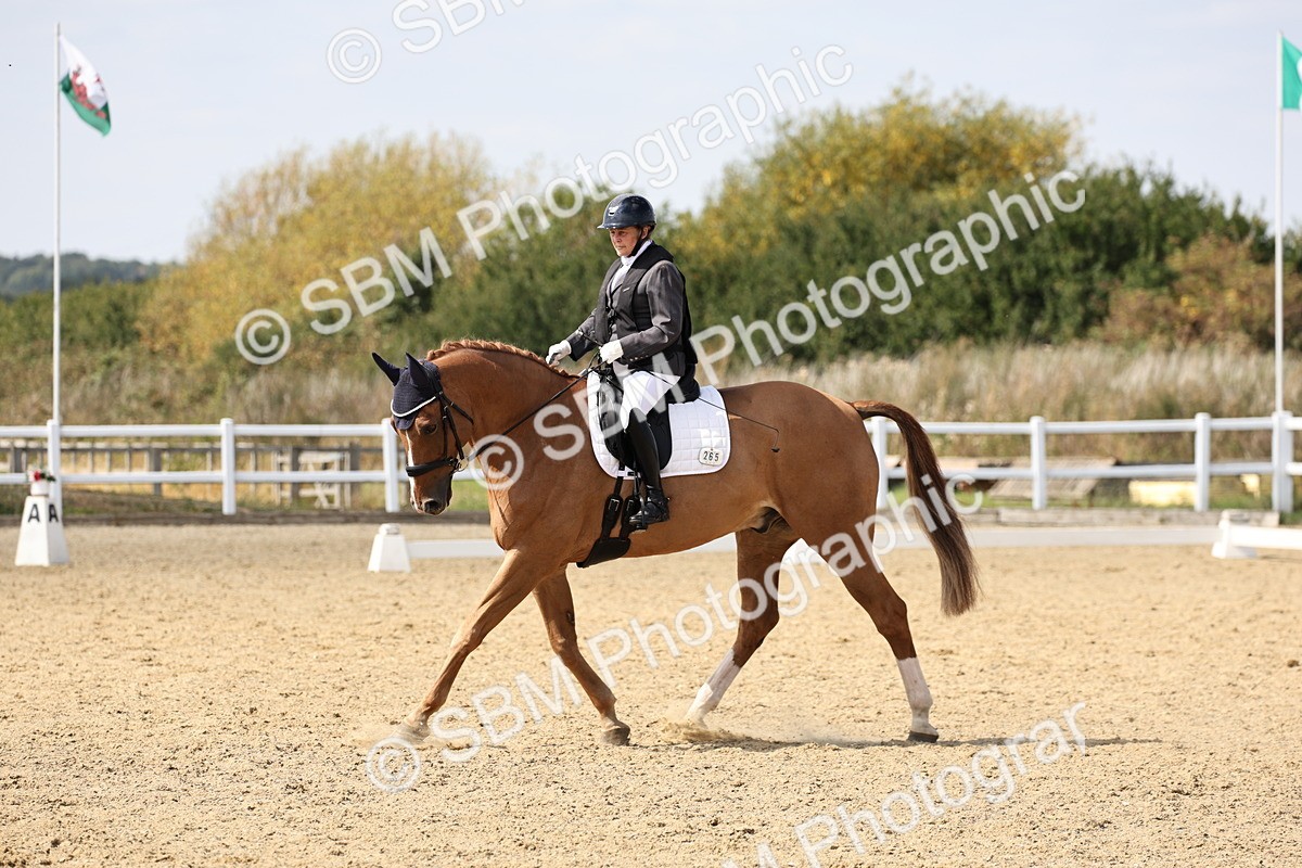 SBM_014652 - Class 5 - Elementary 4