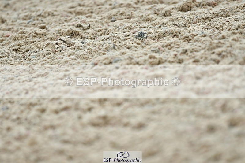 230630A-121030-01523 - Cls 5 Novice 37A